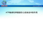 ATP敏感性钾通道在心肌缺血中的作用